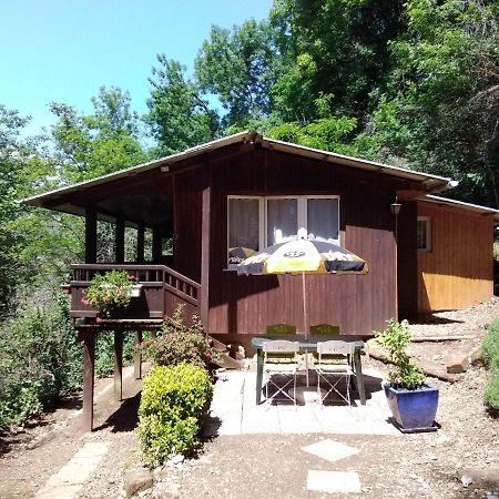 Chalet Vintage Pollieu Εξωτερικό φωτογραφία